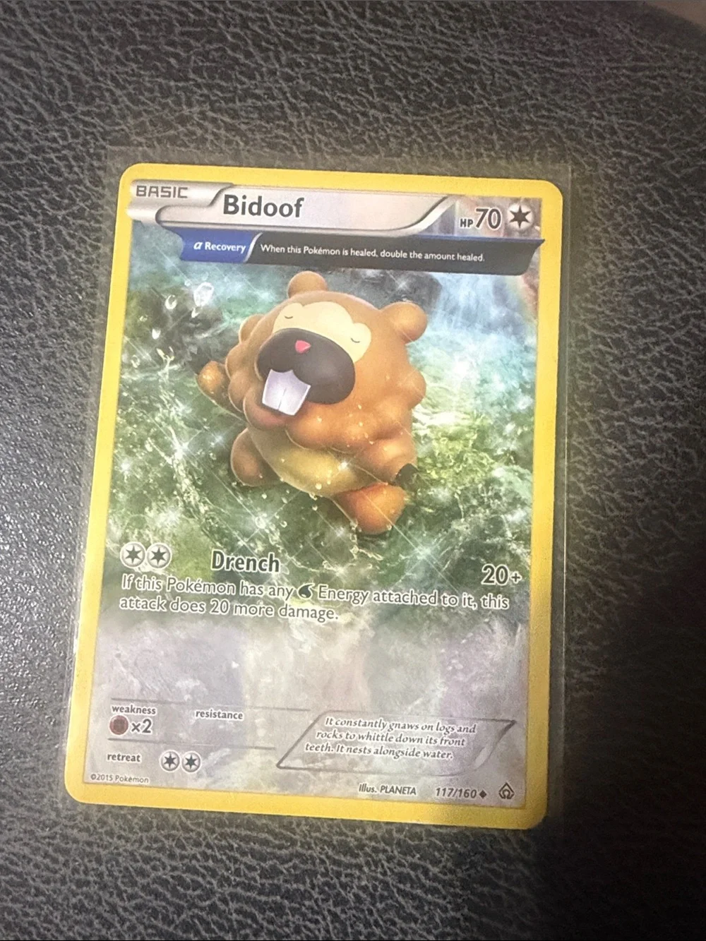 Bidoof Trading Card - Yellow Border